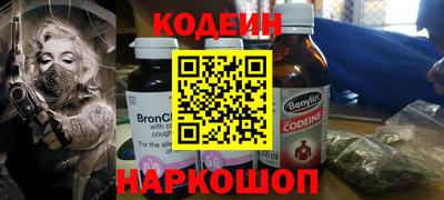 индика Анжеро-Судженск