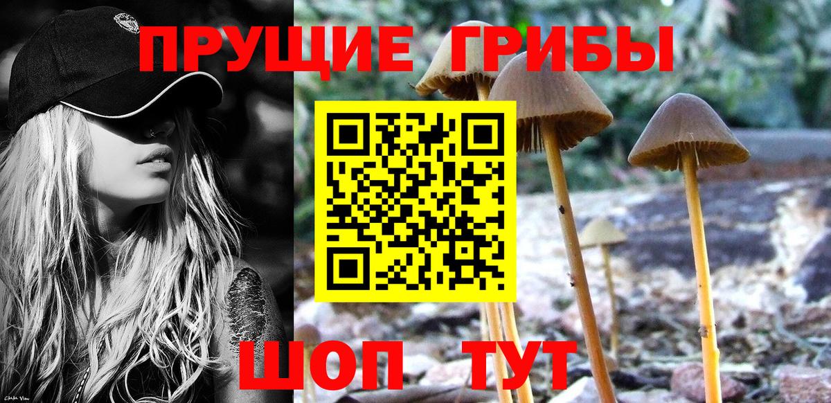 Псилоцибиновые грибы мухоморы Ачхой-Мартан