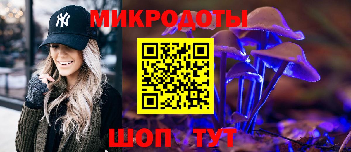 Ачхой-Мартан  Псилоцибиновые грибы Magic Shrooms  Вход с VPN  Псилоцибиновые грибы GOLDEN TEACHER 